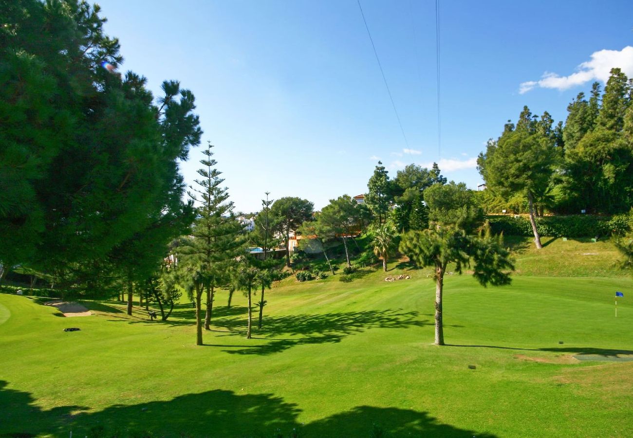 Apartamento en Mijas Costa - 1 bed penthouse apt in Calahonda 
