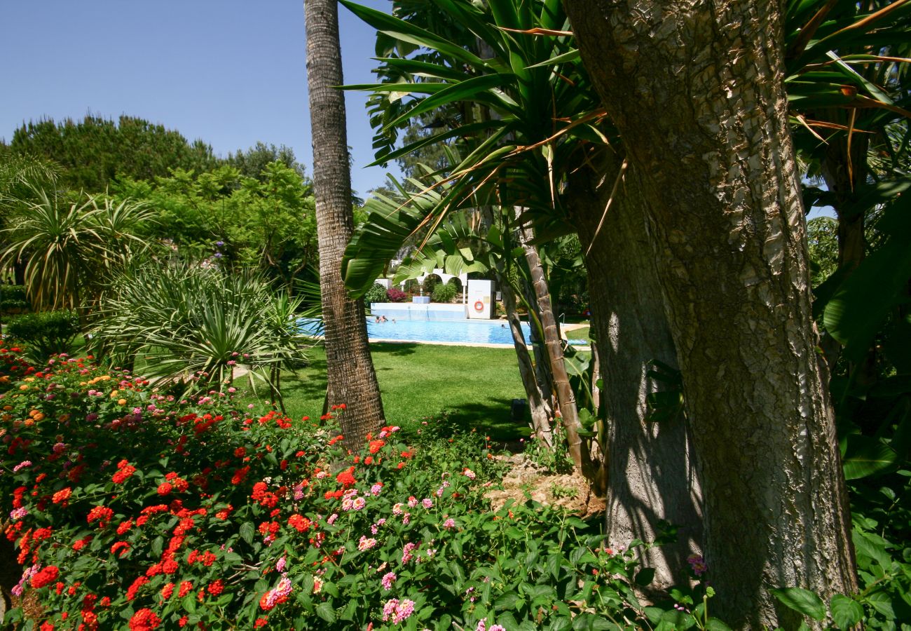 Apartamento en Mijas Costa - Apartamento de un dormitorio en alquiler en Mijas Costa
