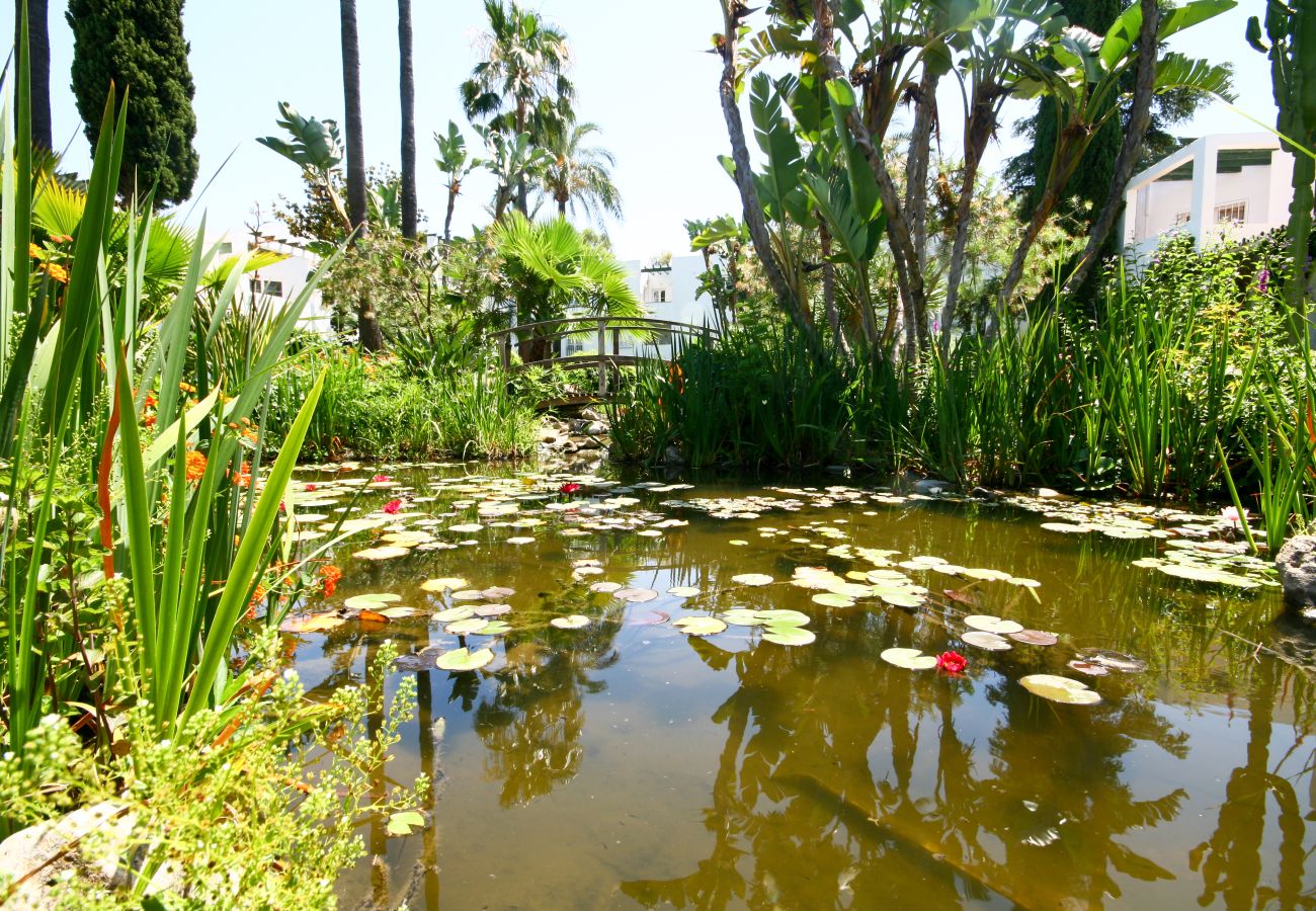 Apartamento en Mijas Costa - Apartamento de un dormitorio en alquiler en Mijas Costa