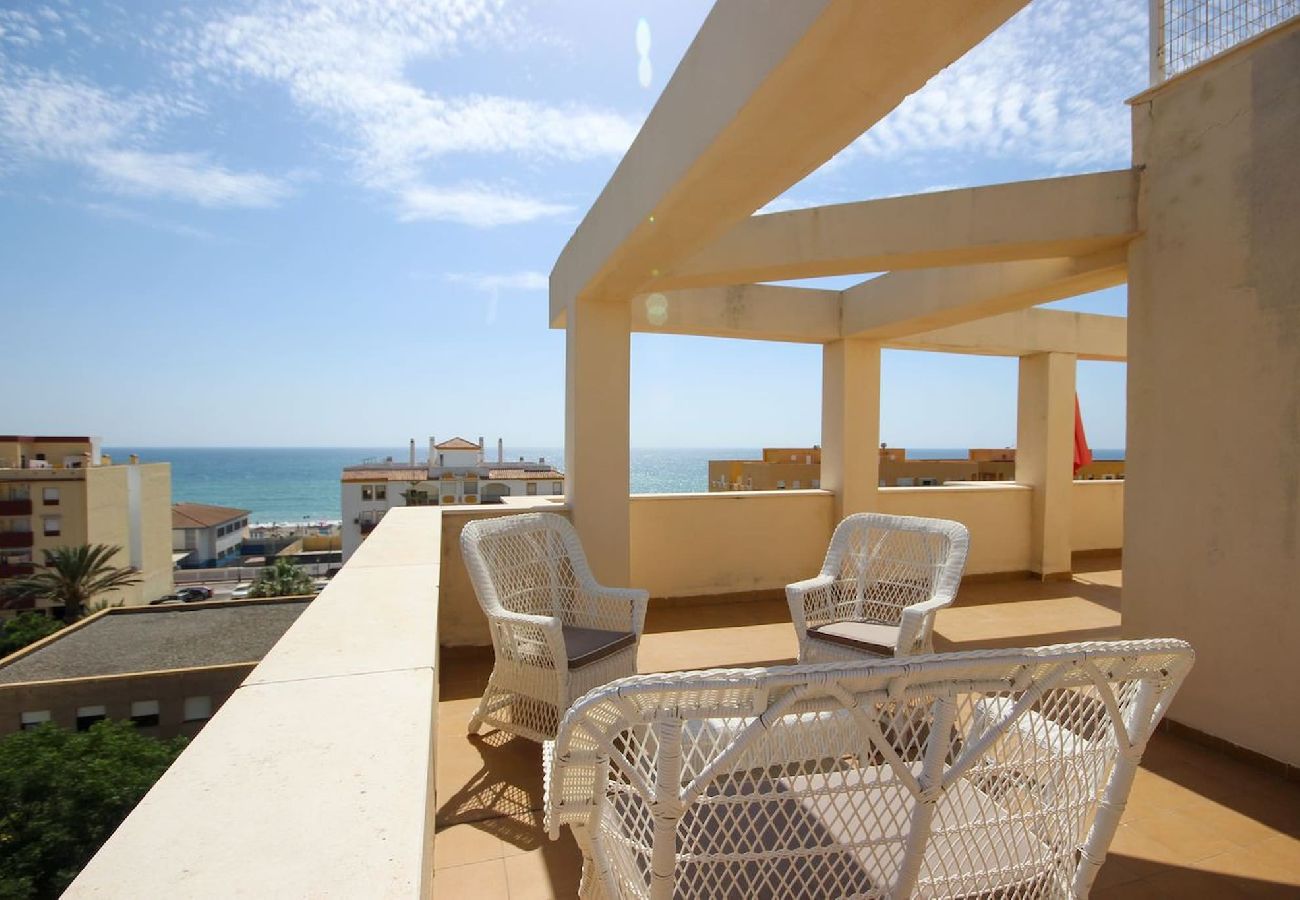 Apartment in San Luis de Sabanillas - Penthouse with Extensive Sunny Roof Terrace 