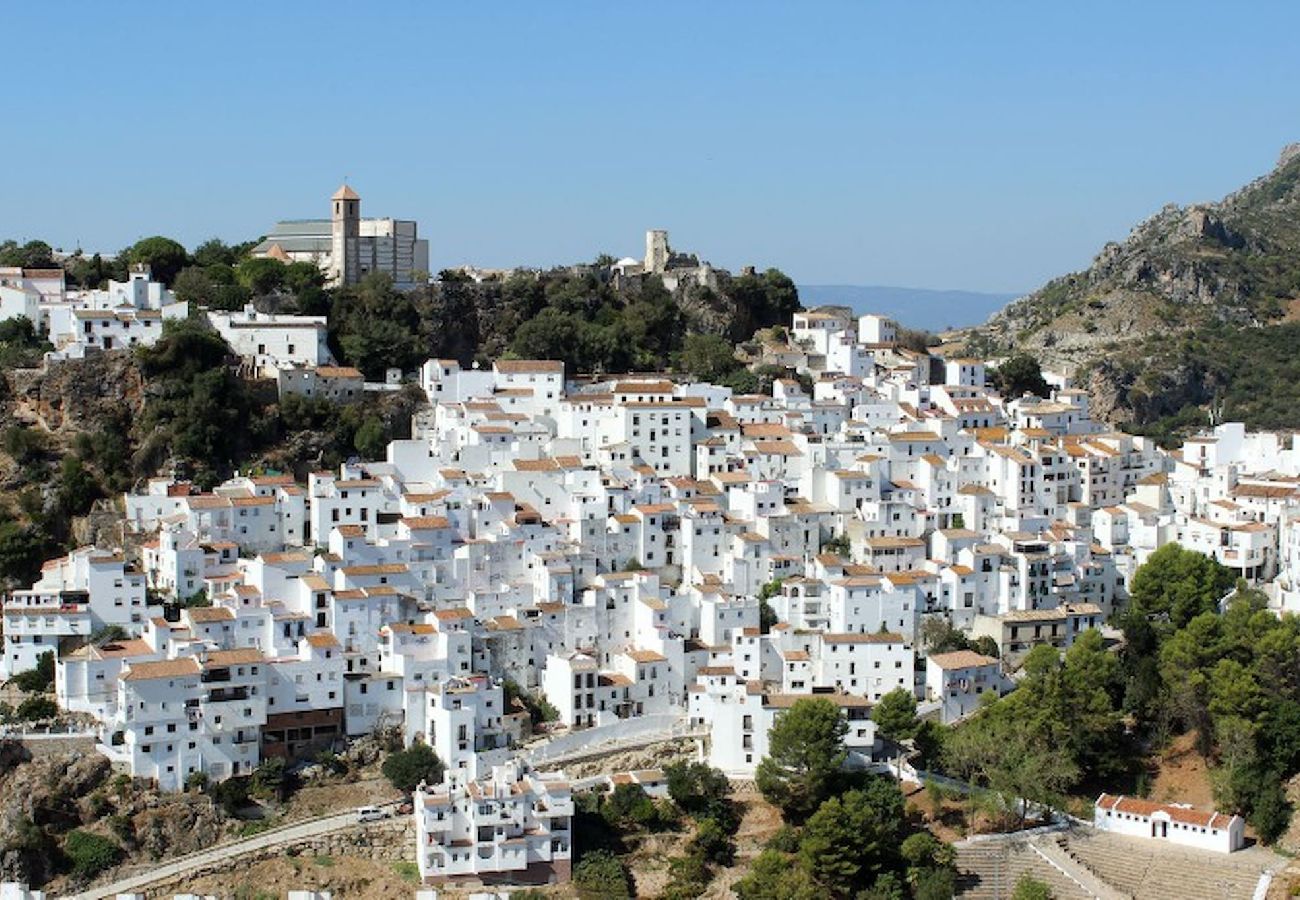 Apartment in Casares - Three Bedroom Apartment in Casares Estepona 