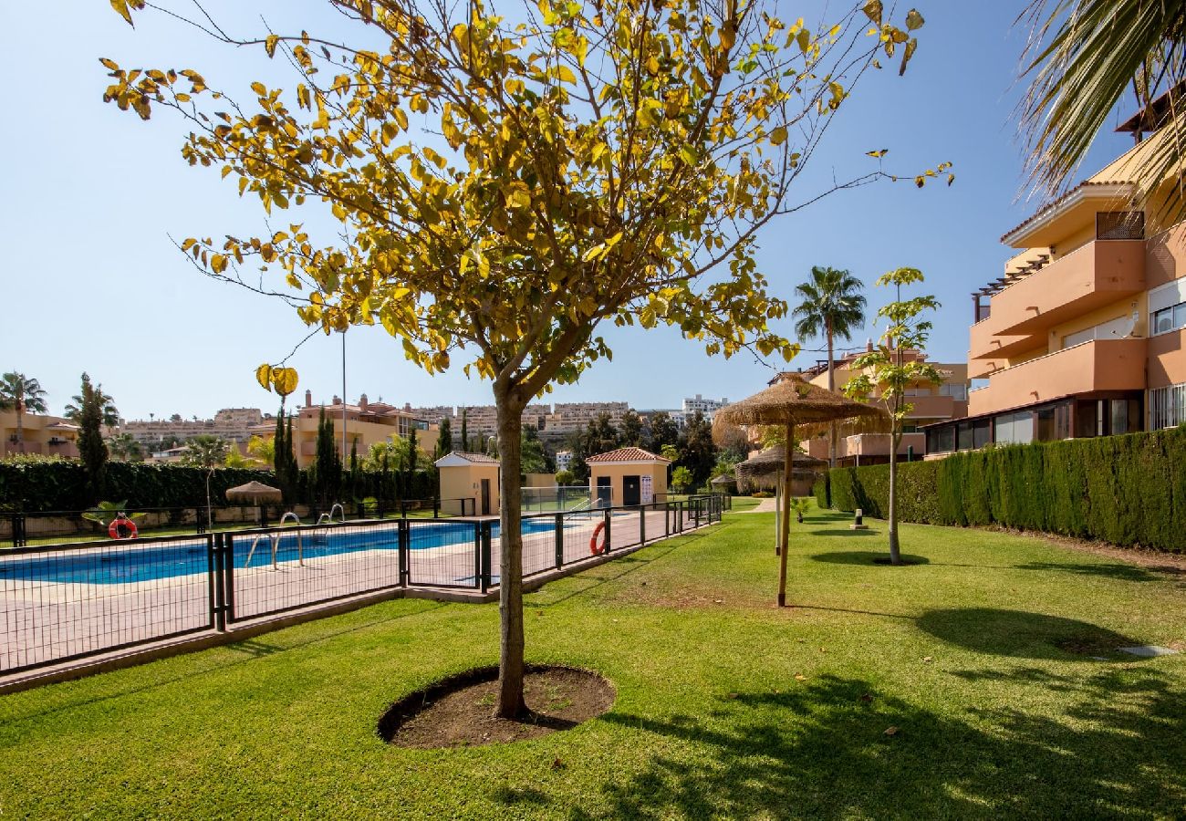 Apartment in Mijas Costa - 2 Bedroom Ground Floor Apartment in Los Prados, La Cala de Mijas close to La Noria golf