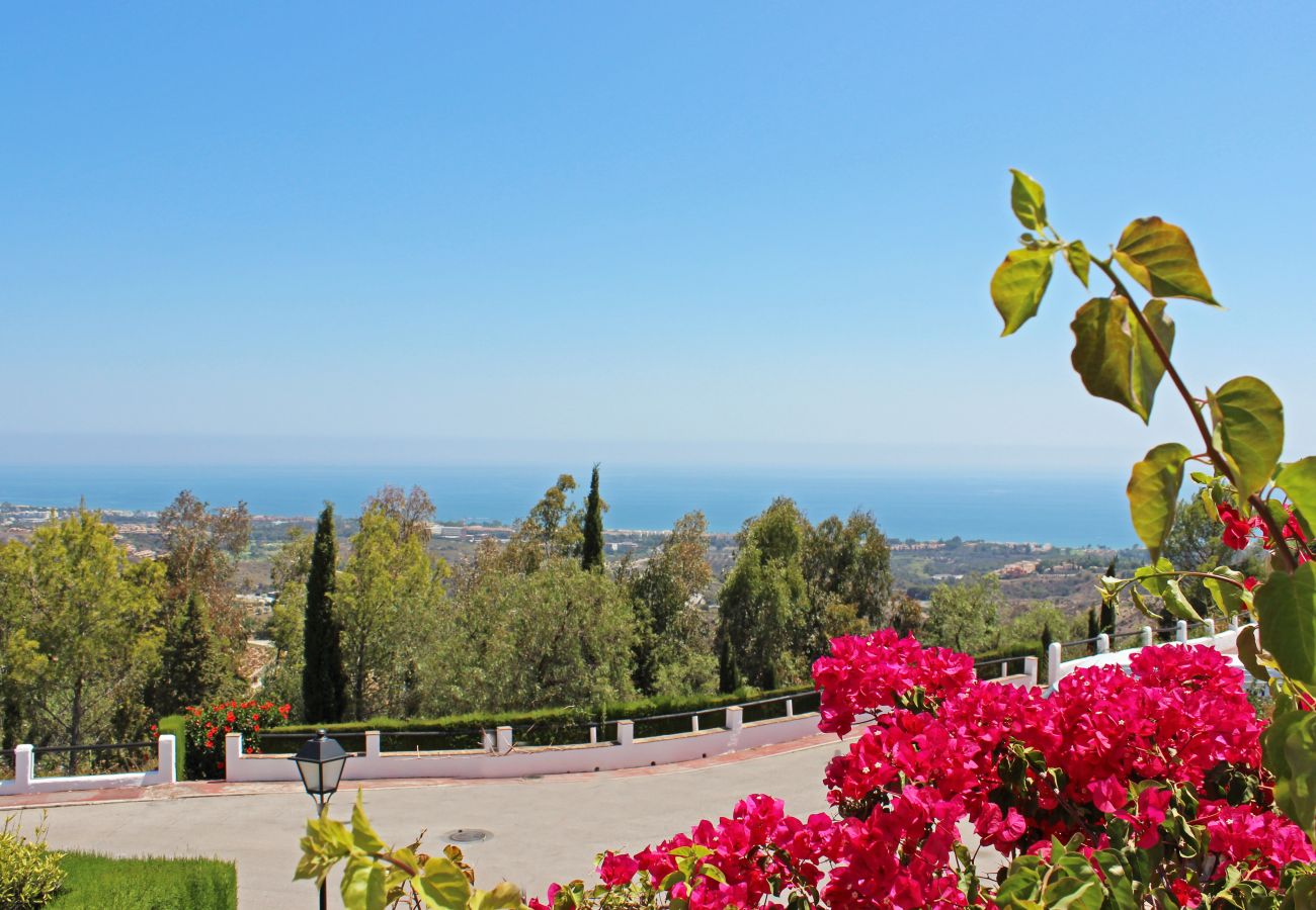 Townhouse in Marbella - Three bedroom town house to rent in Los Altos de Marbella