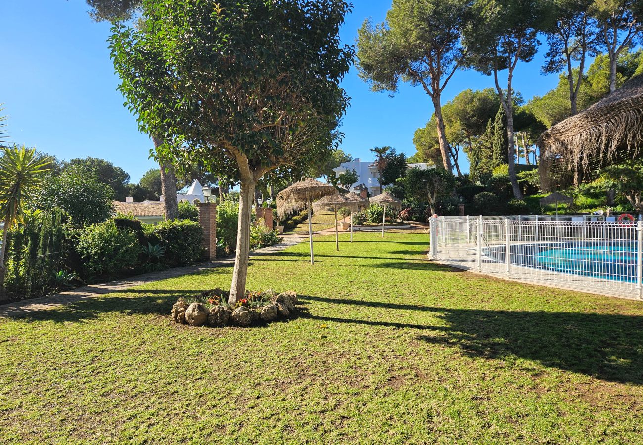 Studio in Mijas Costa - Spacious studio apartment in Miraflores