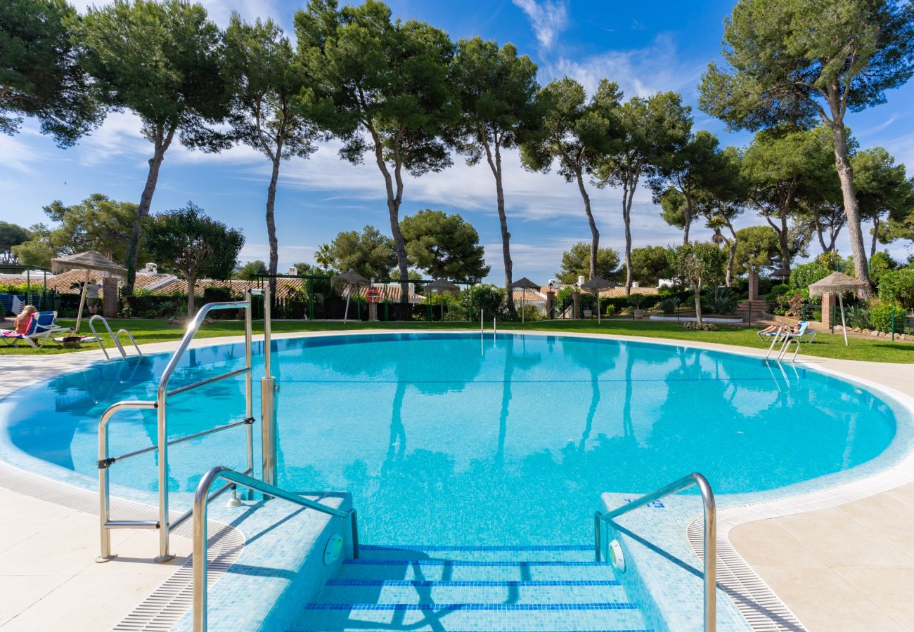 Studio in Mijas Costa - Spacious studio apartment in Miraflores